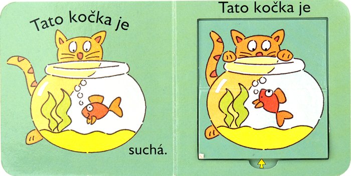 Malý pejsek