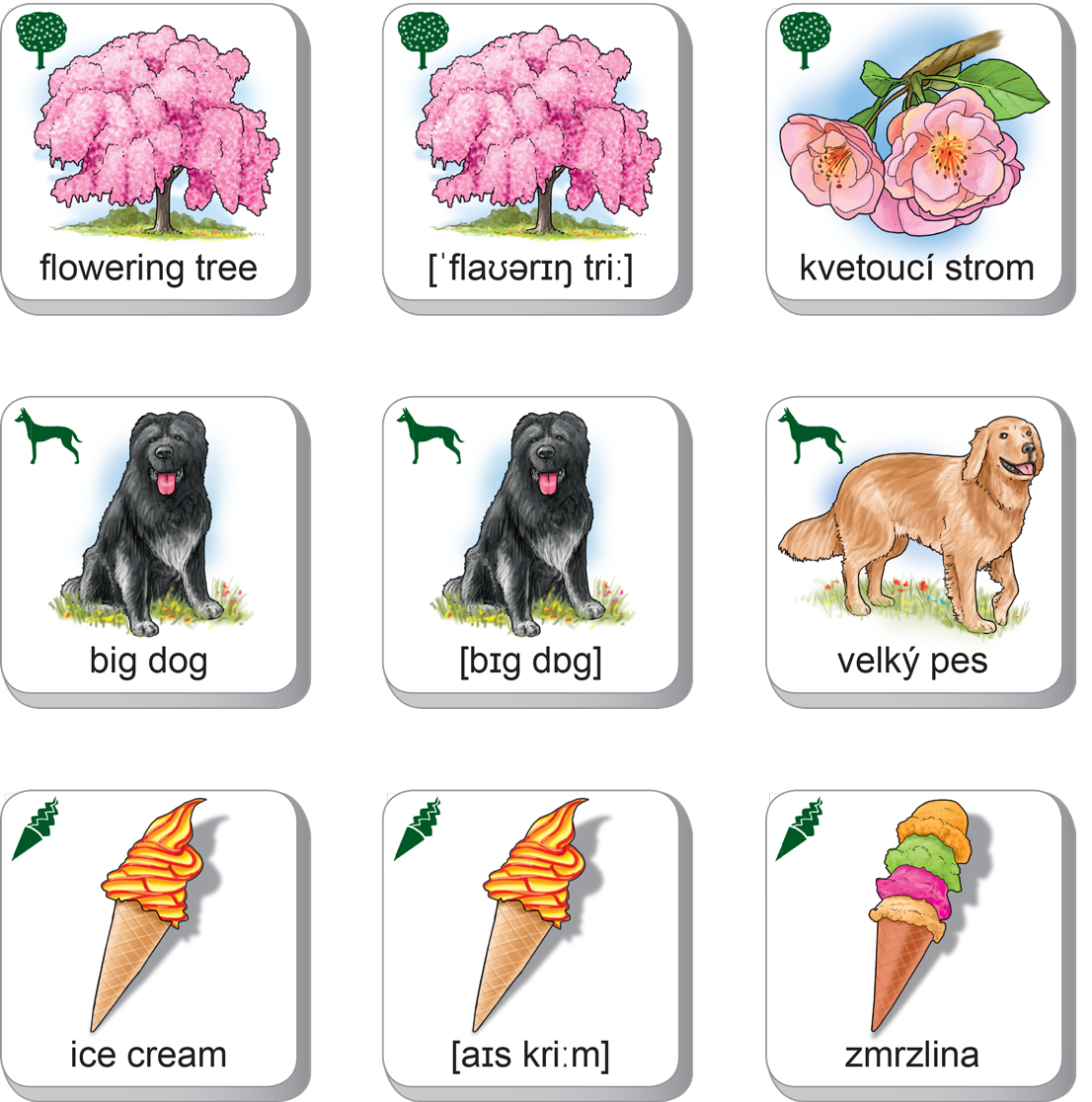 PEXETRIO KIDS - Moje první anglická slovíčka