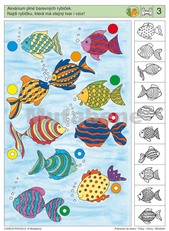 Tvary - Vzory - Množství