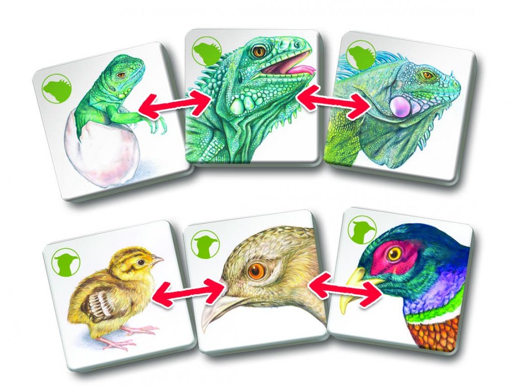 Pexetrio - Zvířecí rodinky