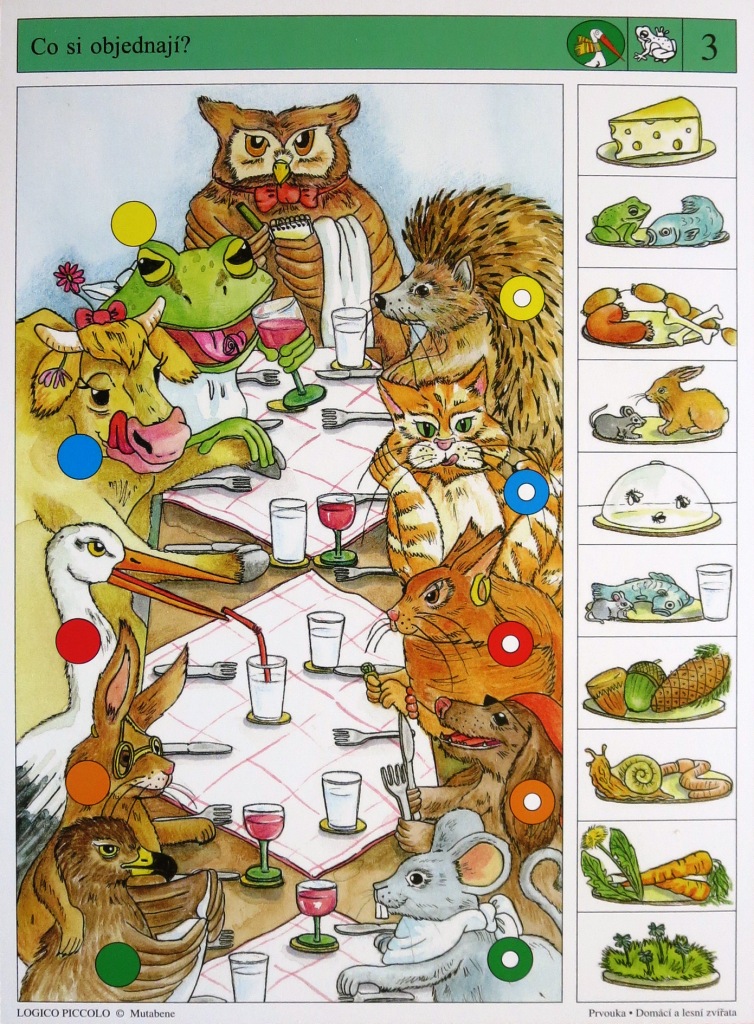 Domácí a lesní zvířata