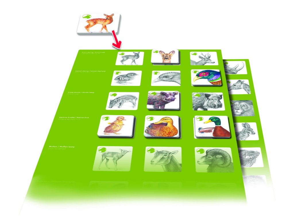 Pexetrio - Zvířecí rodinky