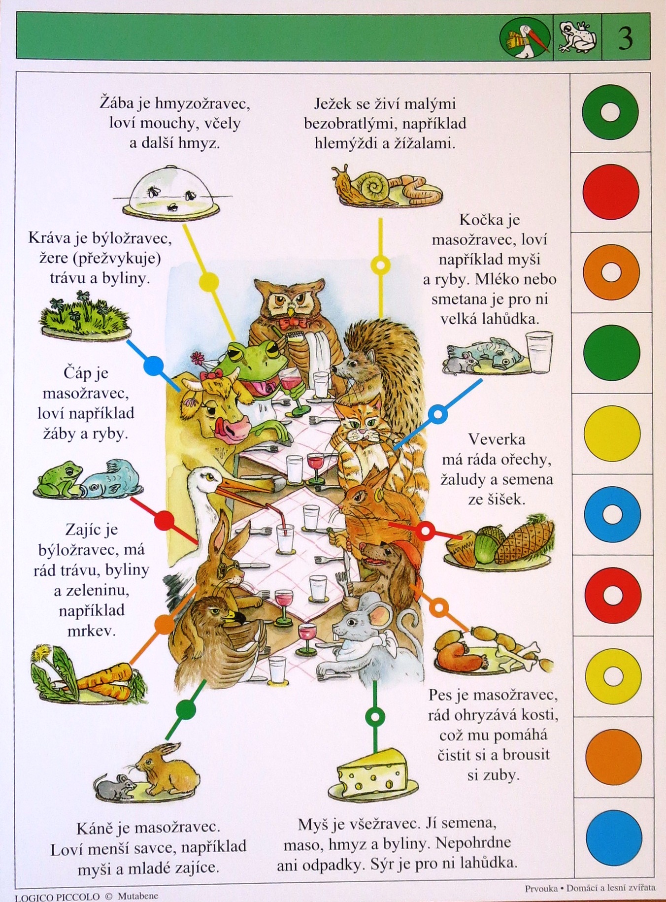Domácí a lesní zvířata