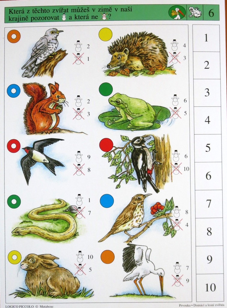 Domácí a lesní zvířata