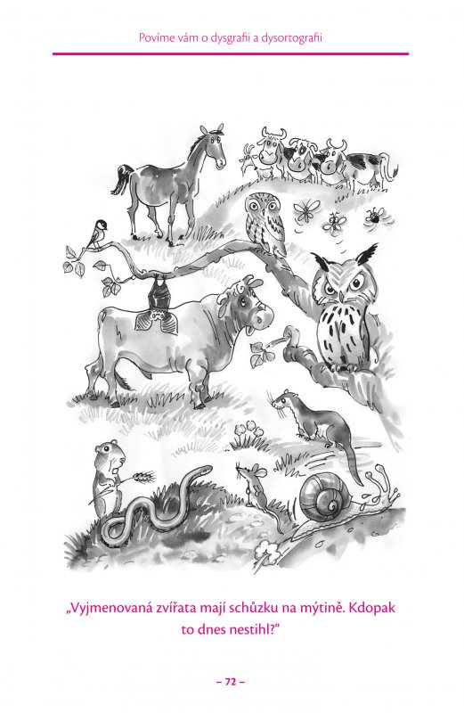 Povíme vám o dysortografii a dysgrafii