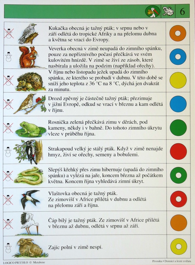 Domácí a lesní zvířata