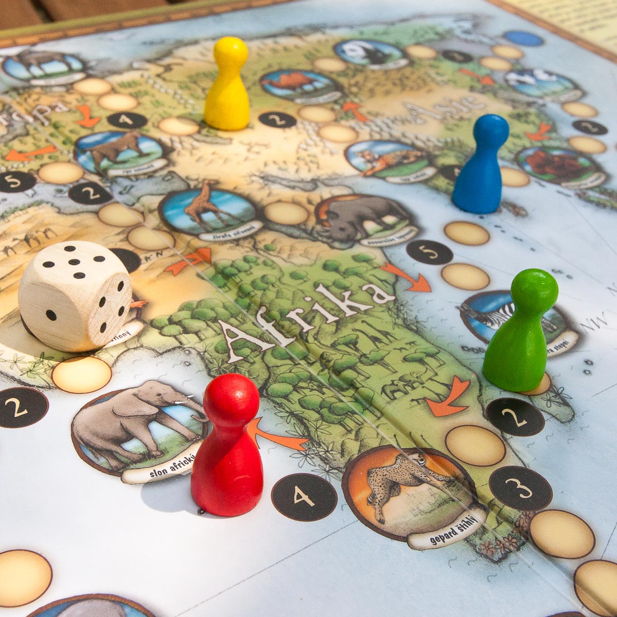 4 přírodovědné hry